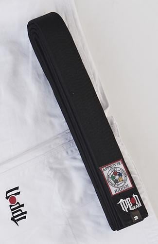 Пояс лицензионный для дзюдо Ippon Gear IJF р. 240 см Черный (bbl240i) - фото 8