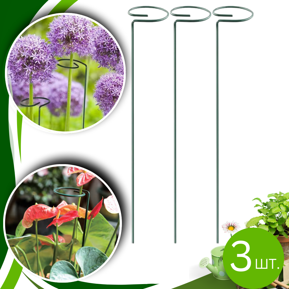 Набор опор для комнатных и садовых растений с кольцами 3 шт. 39х4 см (kolyshki_2) - фото 6 Набор опор для комнатных и садовых растений с кольцами 3 шт. 39х4 см (kolyshki_2) - фото 6