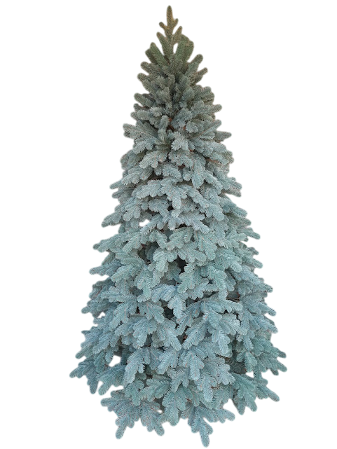 Искусственная елка Ковалевская литая на металлическом основании 2,3 м Голубой (147-41-Ковал.Г-230) Искусственная елка Ковалевская литая на металлическом основании 2,3 м Голубой (147-41-Ковал.Г-230)