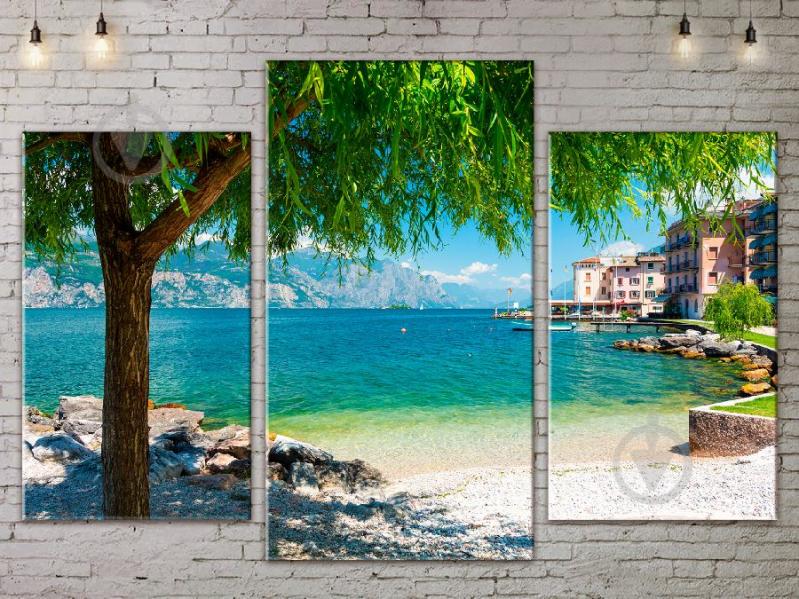 Модульная картина ArtStar ADSE0058 размер 45 х 70 см