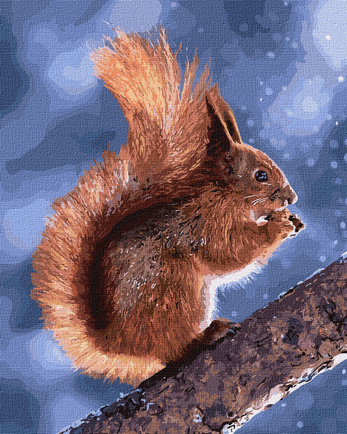 Картина по номерам ІДЕЙКА Маленькая белочка 40х50 (KHO4205)