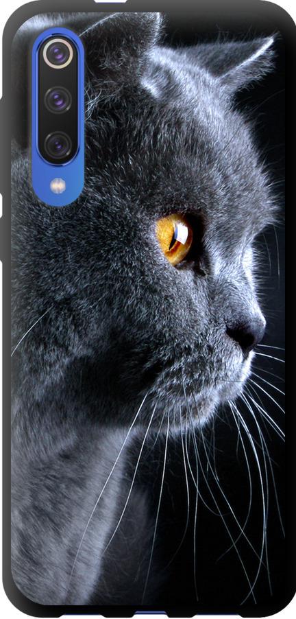 Чехол на Xiaomi Mi 9 SE Красивый кот (3038b-1674-42517) Чехол на Xiaomi Mi 9 SE Красивый кот (3038b-1674-42517)