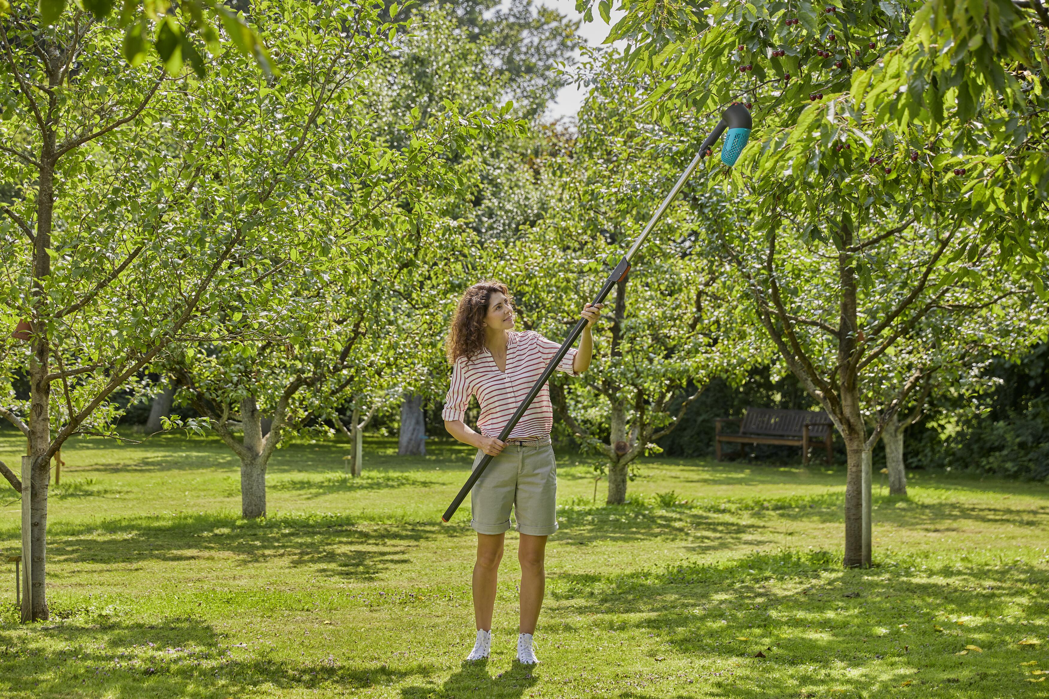 Плодосъемник для ягод Gardena Combisystem Berry Picker с телескопической ручкой 210-390 см (17400-30) - фото 2