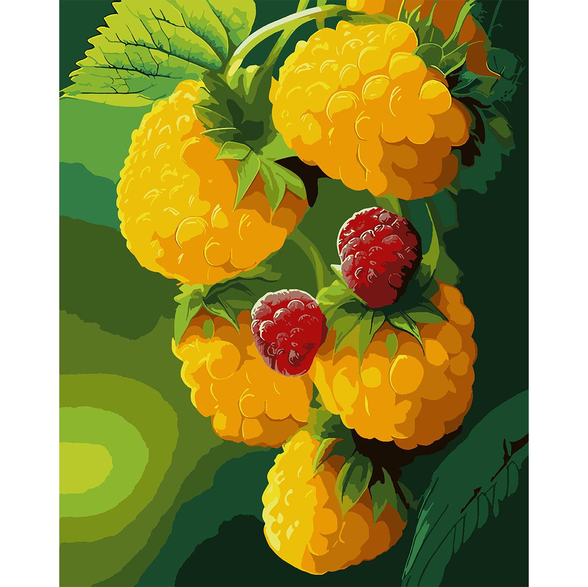 Картина по номерам Santi Малина 40x50 см (Top-954797)