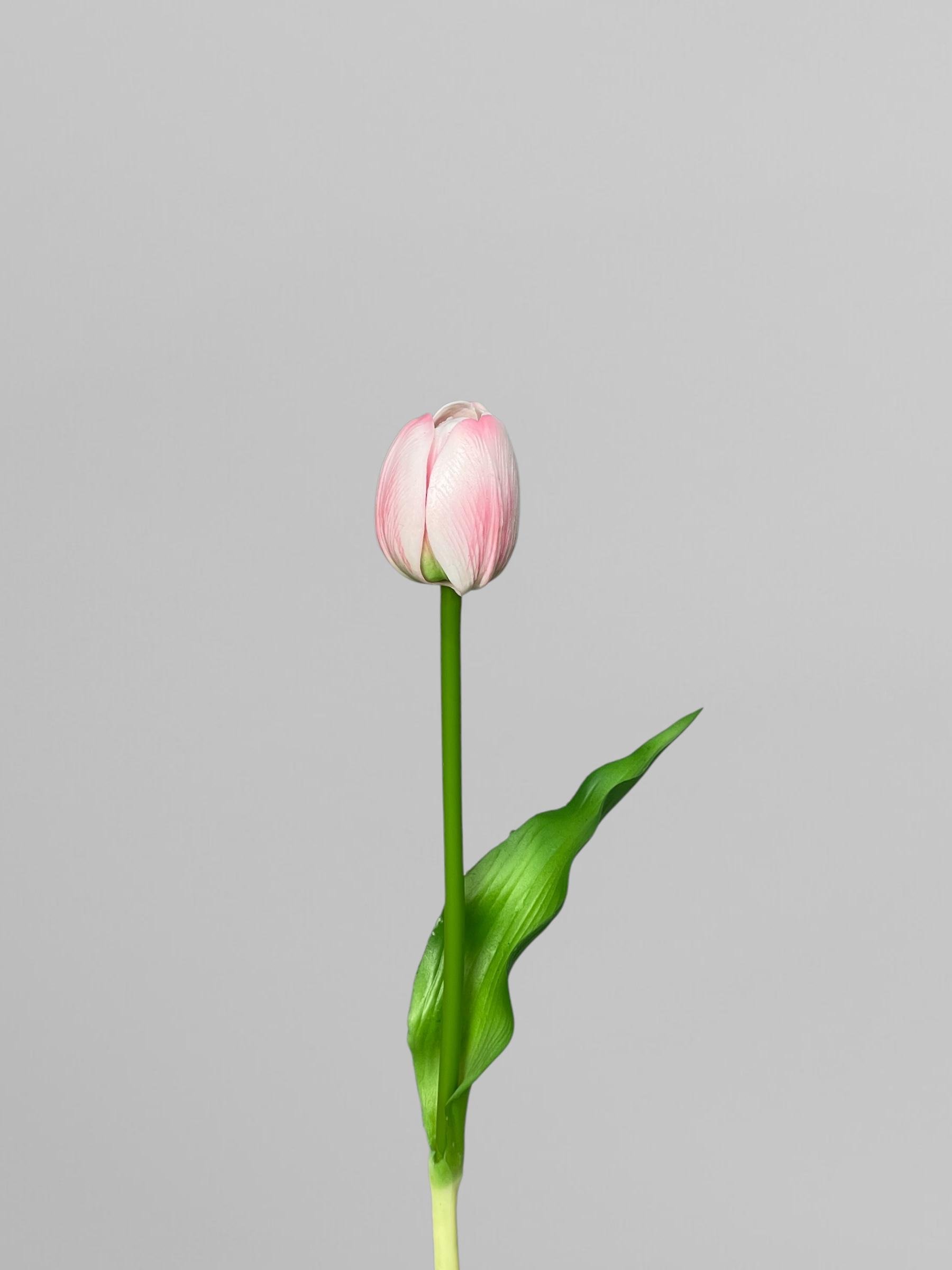 Искусственный тюльпан 32 см Белый с розовым градинтом (К07046) Искусственный тюльпан 32 см Белый с розовым градинтом (К07046)