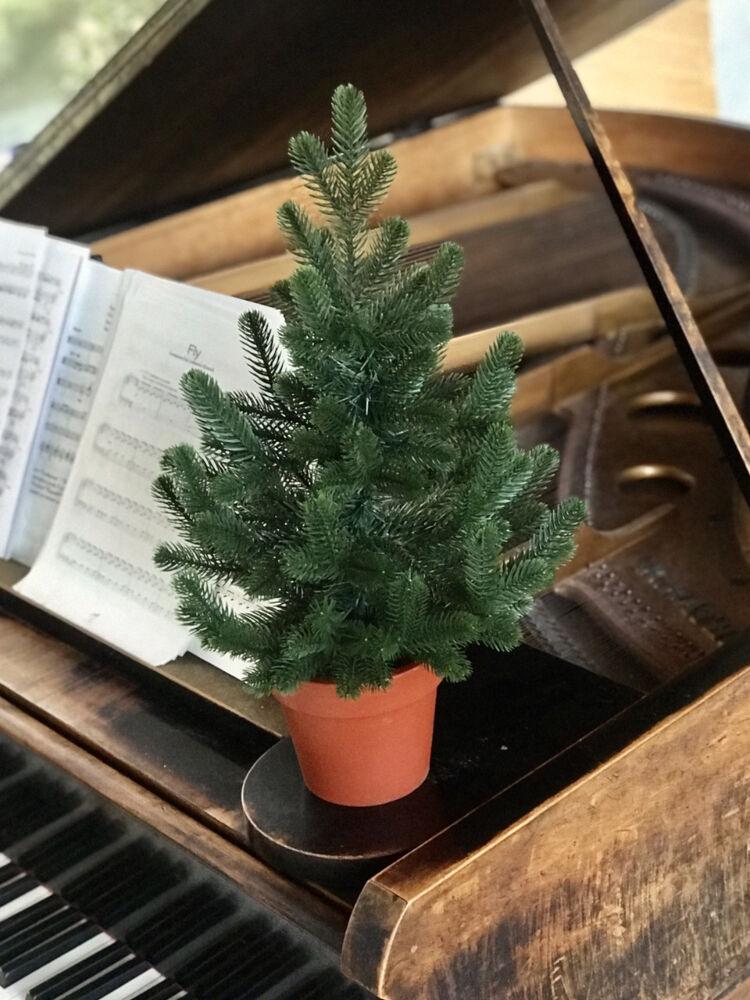 Ялинка лита Traditional у горщику 50 см Зелений (215N/50/G)