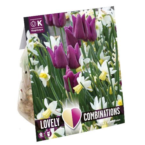 Комбо тюльпаны Florium Purple и Нарцисс White брендовые луковицы Kapiteyn (18259)
