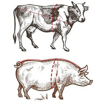 Рулетка для измерения веса домашних животных 2,5 м (AN00668) - фото 3 Рулетка для измерения веса домашних животных 2,5 м (AN00668) - фото 3