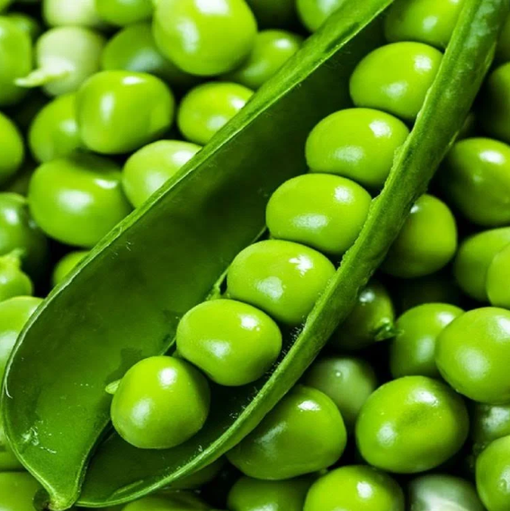 Семена Горох Овочевий Олінда ТД Гекса-Україна 01-03-053 100000шт (IR02128)