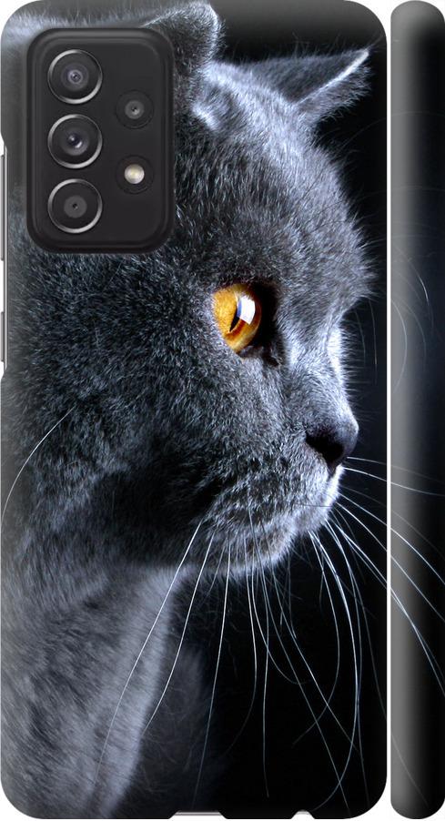 Чехол на Samsung Galaxy A52s 5G A528B Красивый кот (3038m-2583-42517)
