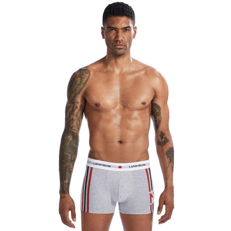 Трусы Lanvibum XXL Серый (7231)
