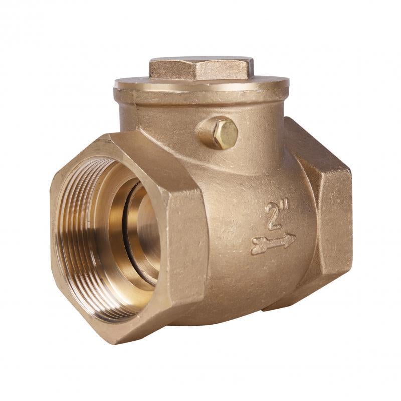 Обратный клапан лепестковый Thermo Alliance Standart 2" ВВ низкого давления SD242W50