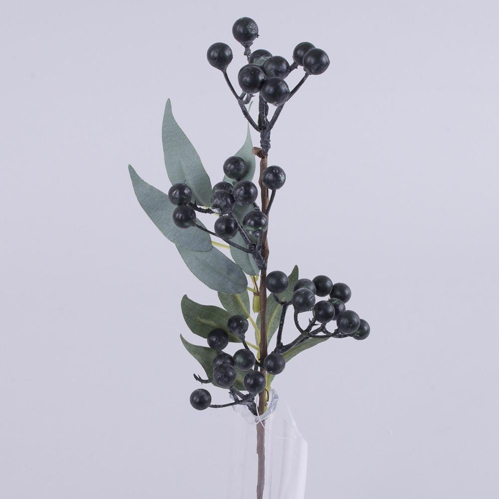 Ветка с ягодами голубики и листьями (3946)