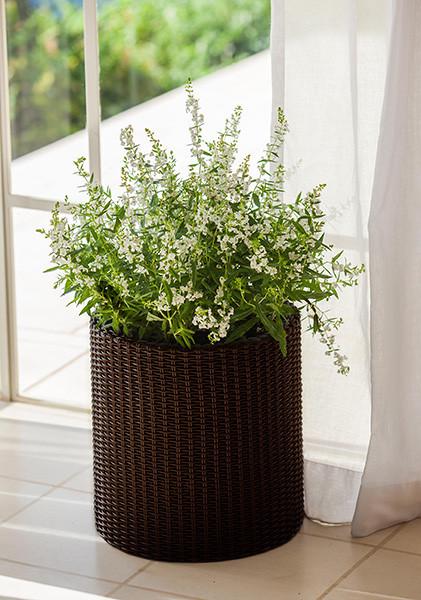 Горщик для квітів Keter Cylinder Planter Large 39 л Коричневий (7290103664206) - фото 4