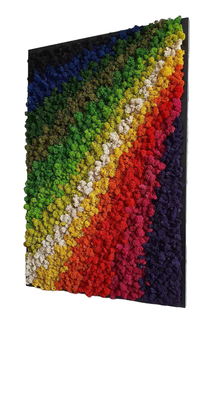 Картина из мха Organic Design Ягель 812 90x60 см (812-90-60) Картина из мха Organic Design Ягель 812 90x60 см (812-90-60)