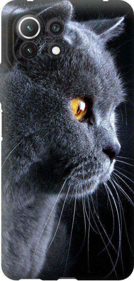Чехол на Xiaomi Mi 11 Lite Красивый кот (3038u-2281-42517)
