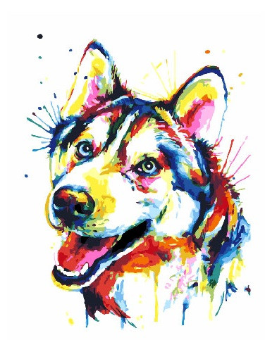 Картина по номерам Brushme Радужный хаски (GX25781)