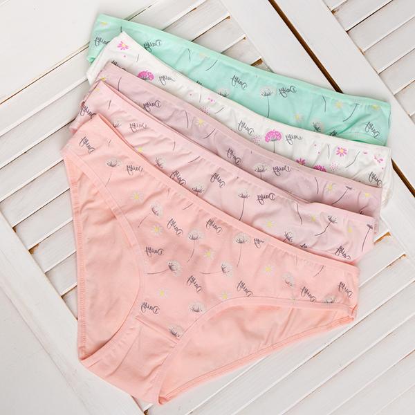 Женские трусики Nicoletta M 5 шт. Разноцветный (4529)