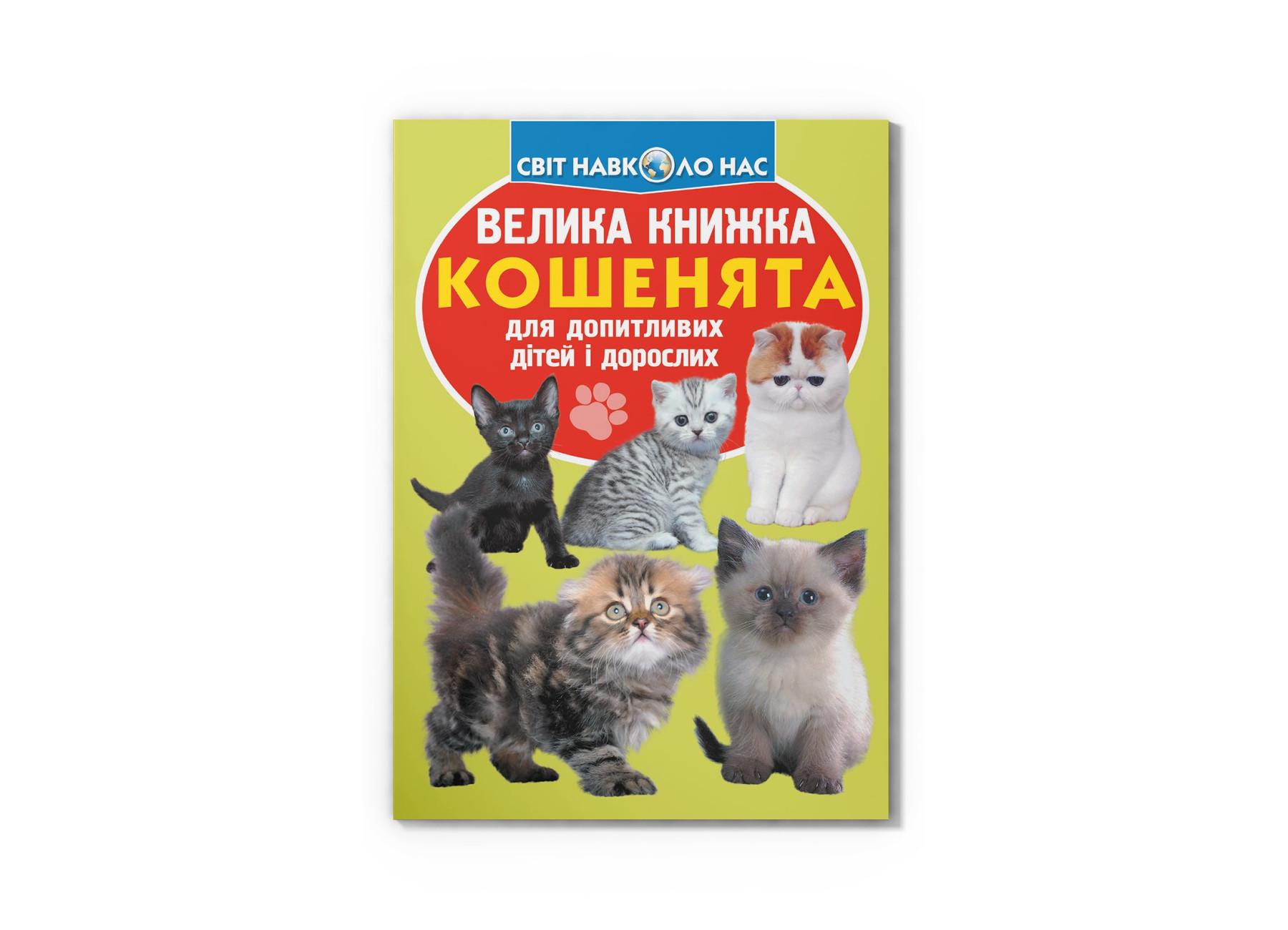 Большая книга. Котята F00019383 9789669367709