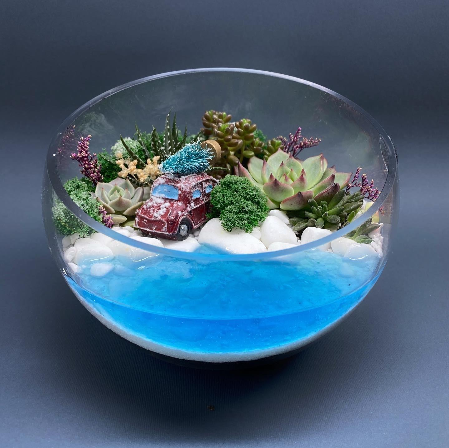 Флорариум новогодний с суккулентами и имитацией водоема Машинка у моря 18х15 см