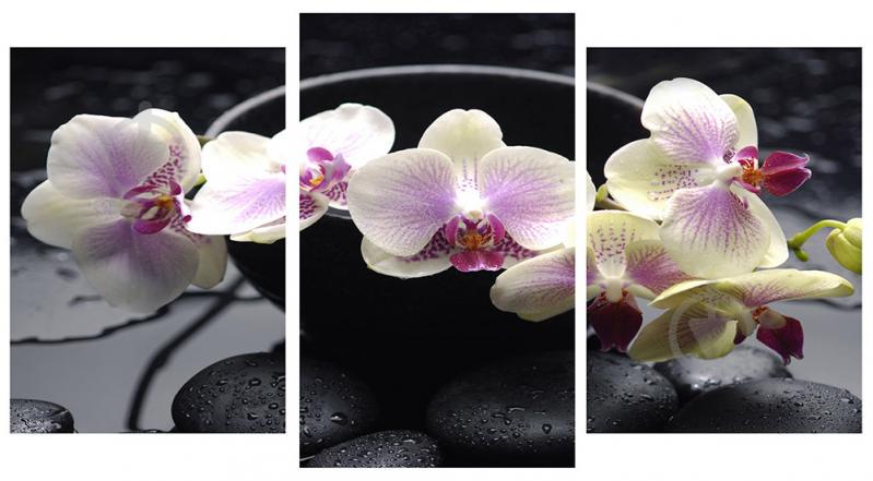 Модульная картина Декор Карпаты 100х53 см (M3-t213)