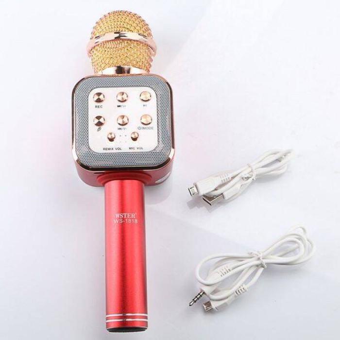 Микрофон-караоке Wster WS-1818 с USB/microSD/AUX/FM/Bluetooth (12926-1) - фото 4
