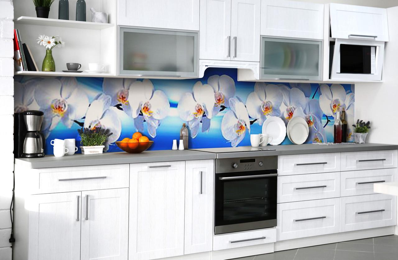 Кухонный фартук Белые орхидеи макро из самоклеющейся виниловой пленки 60х300 см Голубой
