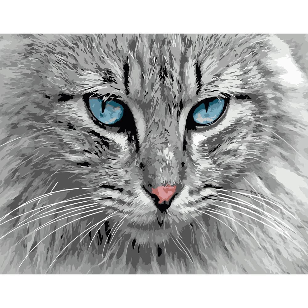 Картина за номерами Strateg Преміум Погляд котика 40х50 см (DY082)
