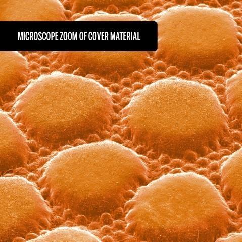 М'яч баскетбольний Wilson Evo NXT FIBA Game Ball професійний р. 7 Amber (WTB0965XB) - фото 6 М'яч баскетбольний Wilson Evo NXT FIBA Game Ball професійний р. 7 Amber (WTB0965XB) - фото 6