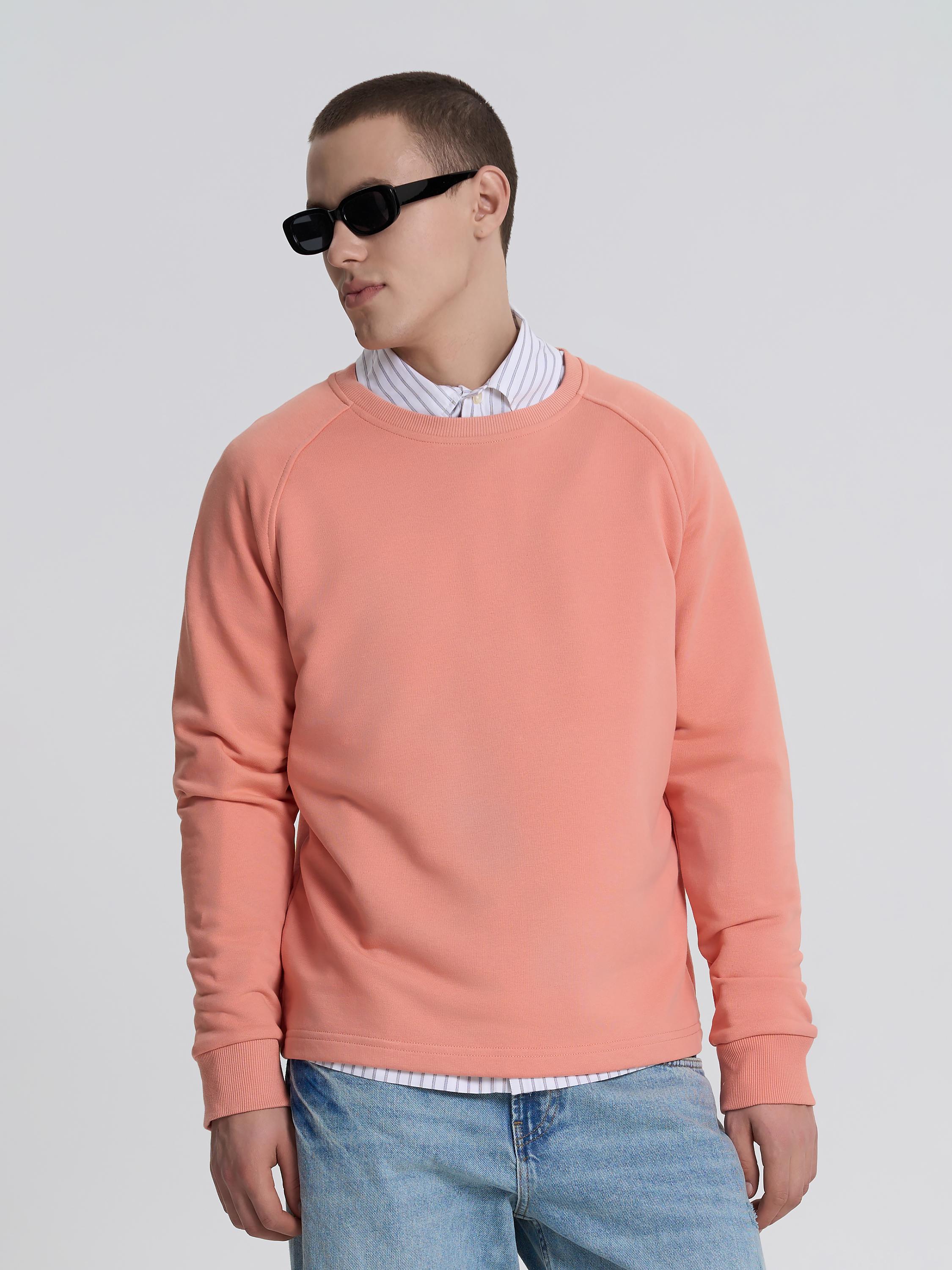 Свитшот-реглан мужской ROZA 240620 XL Коралловый (4824005724329) Свитшот-реглан мужской ROZA 240620 XL Коралловый (4824005724329)