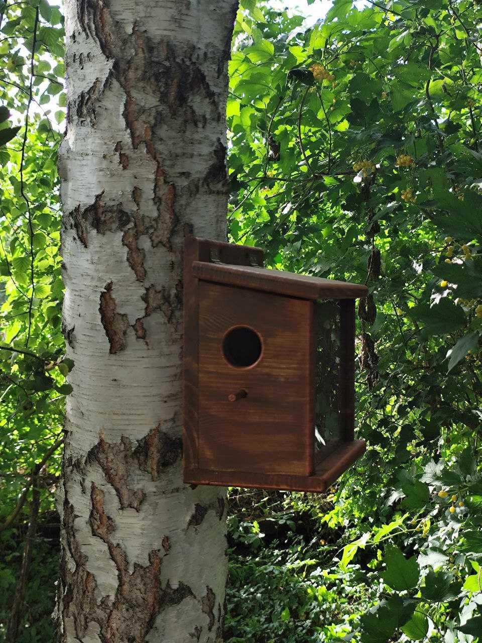 Кормушка для птиц Запутанка бункерного типа из сосновой древесины 30х30х17 см Янтарный - фото 6 Кормушка для птиц Запутанка бункерного типа из сосновой древесины 30х30х17 см Янтарный - фото 6