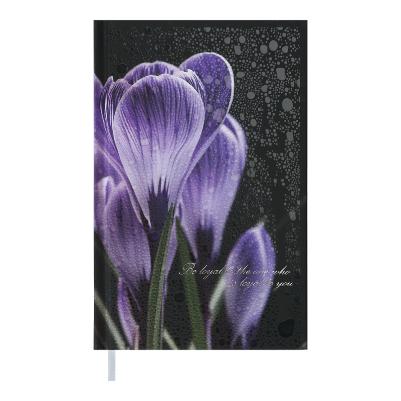 Щоденник недатований Buromax Posh А6 288 аркушів лінія Чорний (BM.2627 01)