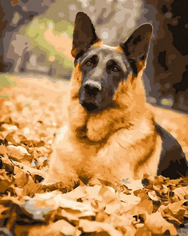 Картина по номерам Brushme Верный друг 40x50 см (BRM41710)