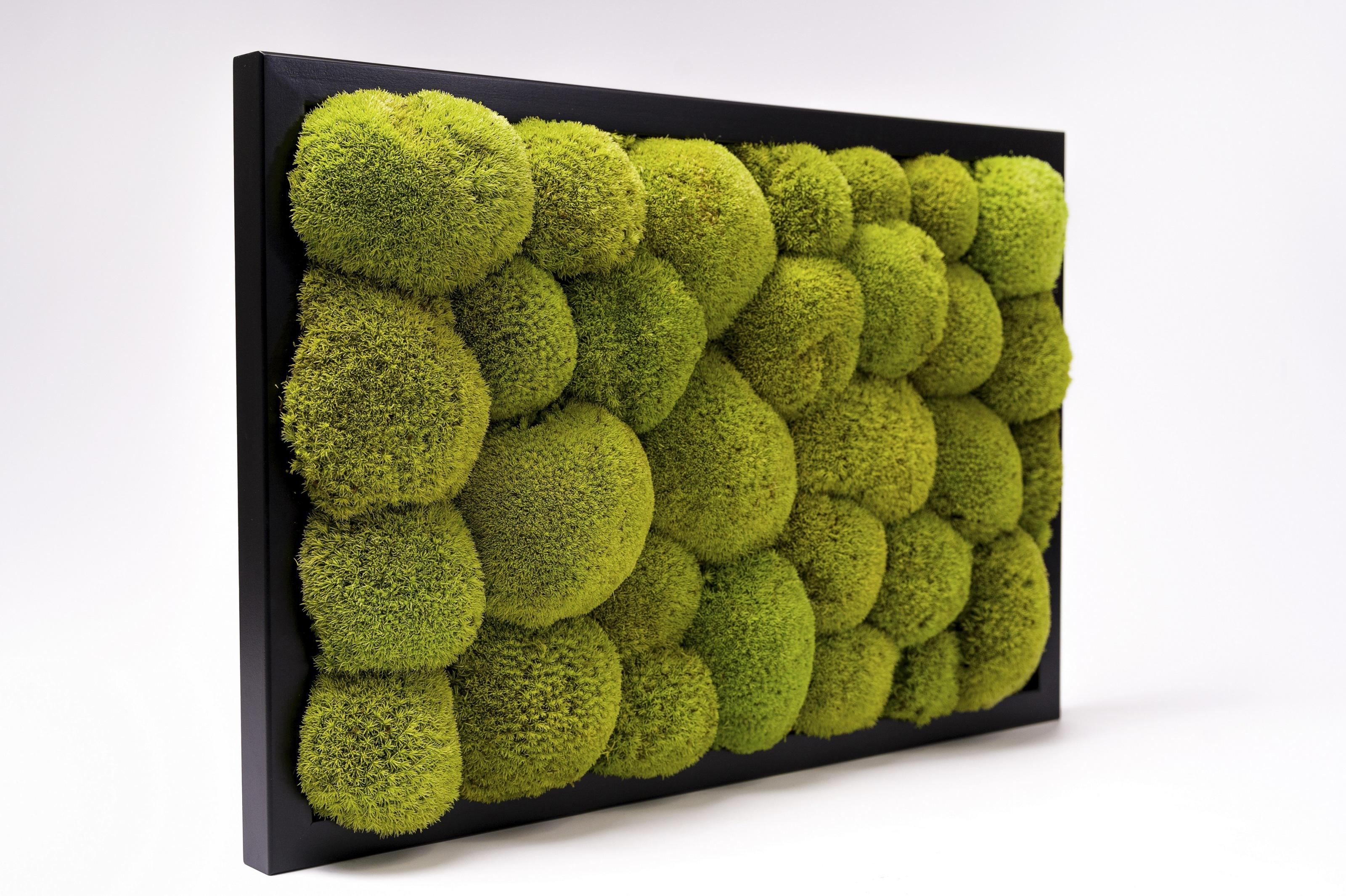 Картина из мха Organic Design Кочка 805 60x40 см (805-60-40) Картина из мха Organic Design Кочка 805 60x40 см (805-60-40)