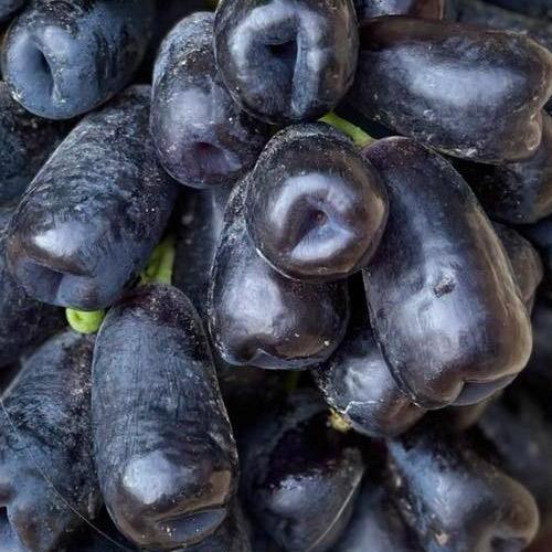 Саджанець Виноград кишміш Аватар велика солодка соковита ягода екзотичної форми (101877)