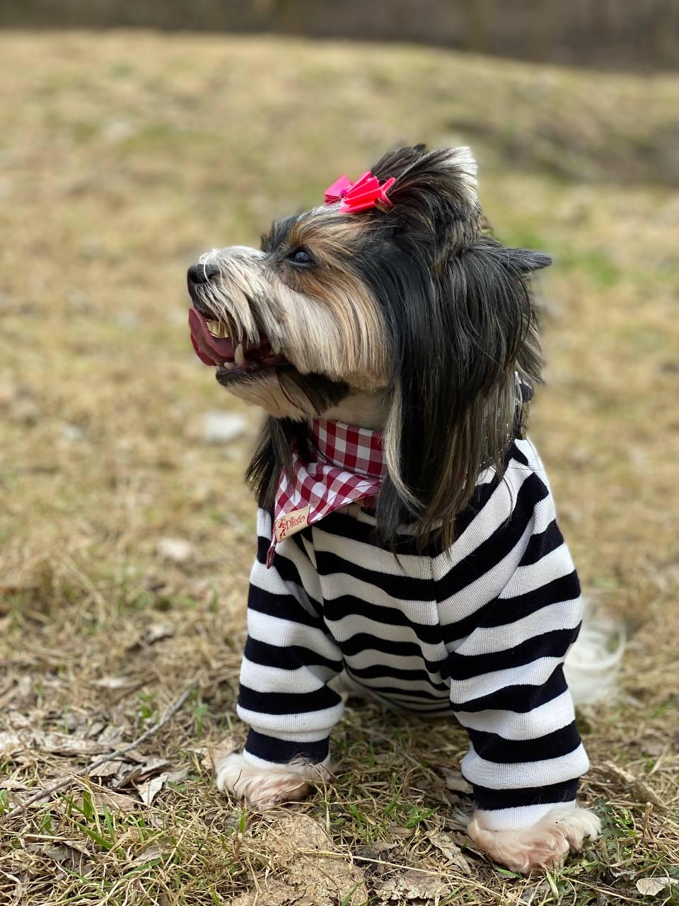 Кофта Diego Худі Смужка L - фото 3 Кофта Diego Худі Смужка L - фото 3