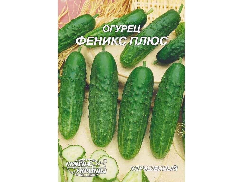 Семена Огурец Насіння України Гигант 10 г 10 пачек (71525) Семена Огурец Насіння України Гигант 10 г 10 пачек (71525)