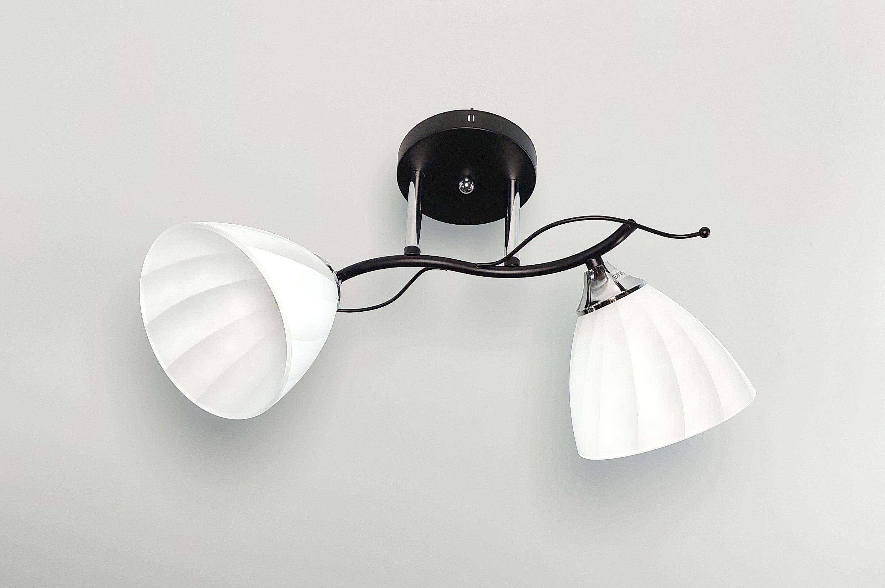 Люстра потолочная 5055//2 на 2 плафона Черный