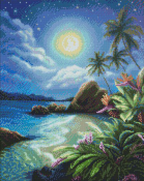 Алмазная мозаика Идейка Лунная ночь 40x50 см (Id-AMO7292)