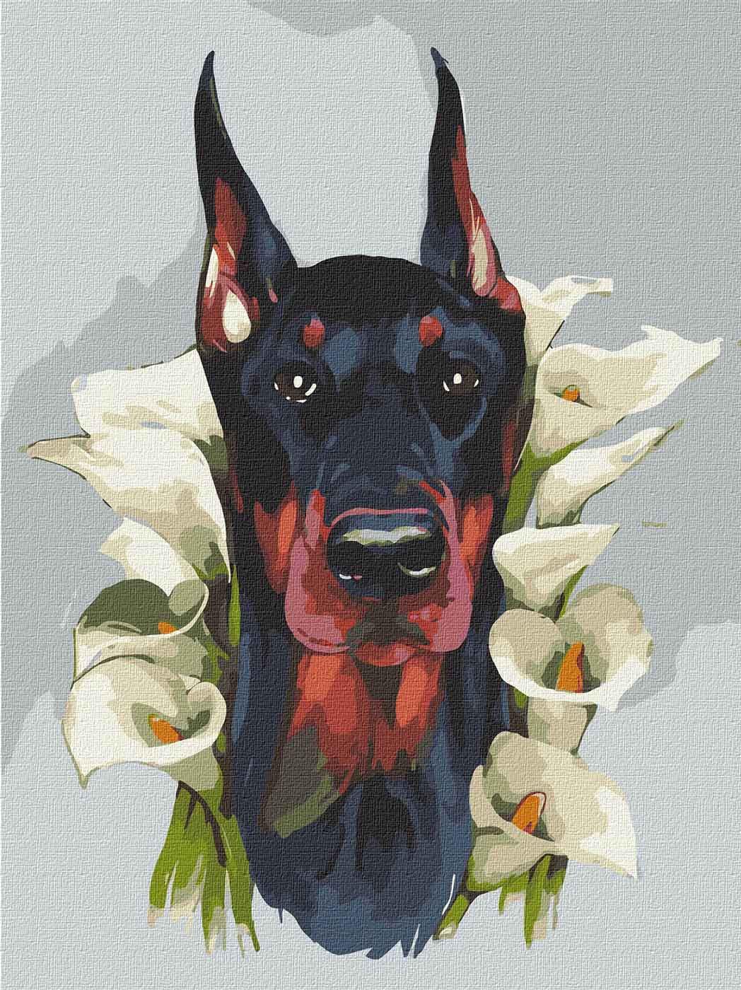 Картина по номерам Идейка Животные Величественный доберман 30х40 см в термопакете (КНО4230-mt)