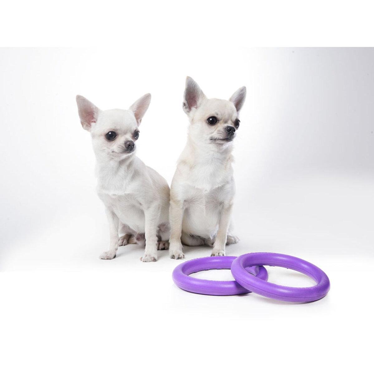 Тренувальний снаряд для собак PULLER Micro D 12,5 см (25881217) - фото 3 Тренувальний снаряд для собак PULLER Micro D 12,5 см (25881217) - фото 3