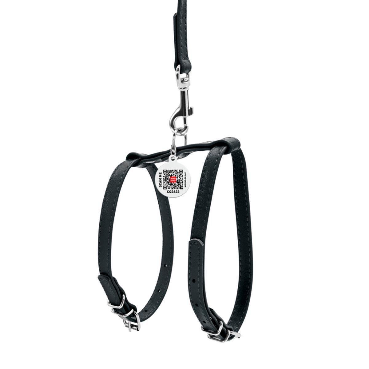 Шлея с поводком для собак Waudog Glamour с QR паспортом/кожаная 12 мм х 25-33 см х 35-43 см Черный (34001 Col)
