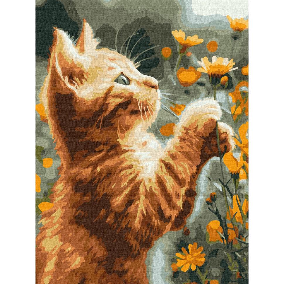 Картина за номерами Ideyka Рудий пухнастик KHO6607 30x40 см (RLT41129)