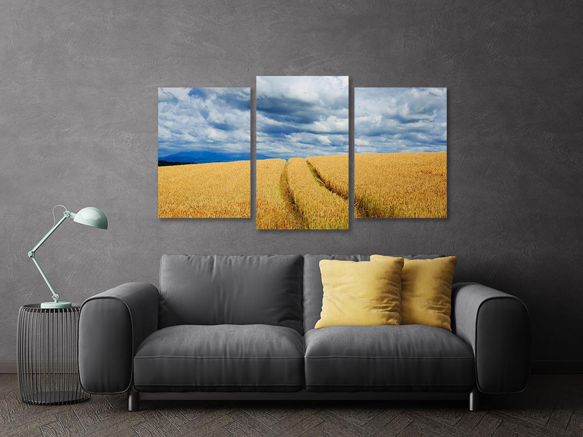 Картина модульная в гостиную/спальню Поле пшеницы 53х100 см (Art-678_3) - фото 3