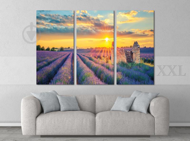 Модульна картина Poster-land Прованс Art-198_XXL