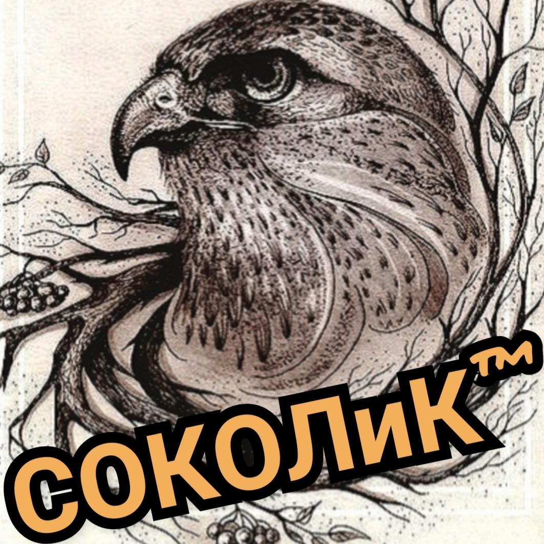 СОКОЛиК