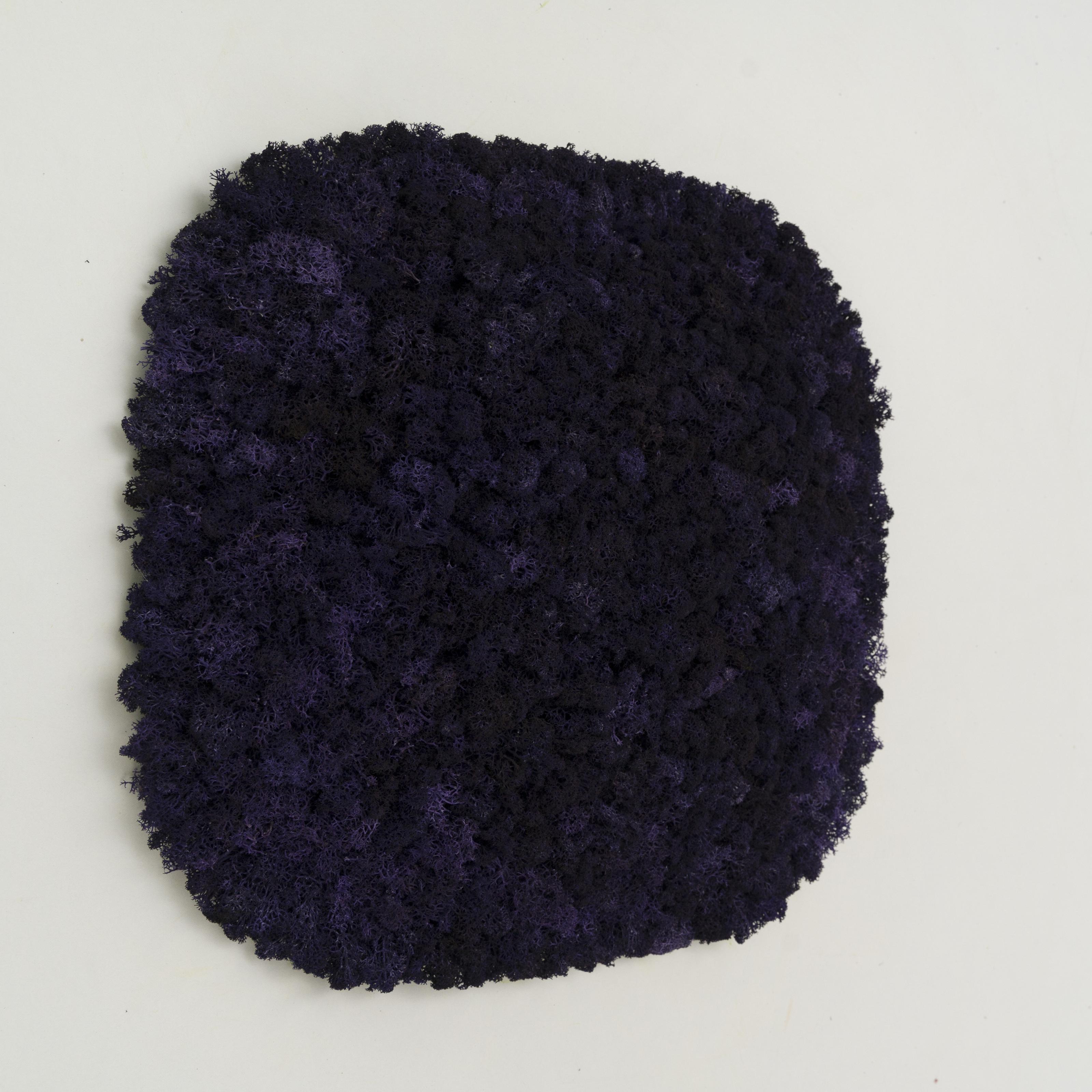 Декоративное панно из мха Organic Design Суперелепсная панель 33 см Purple (704-11)