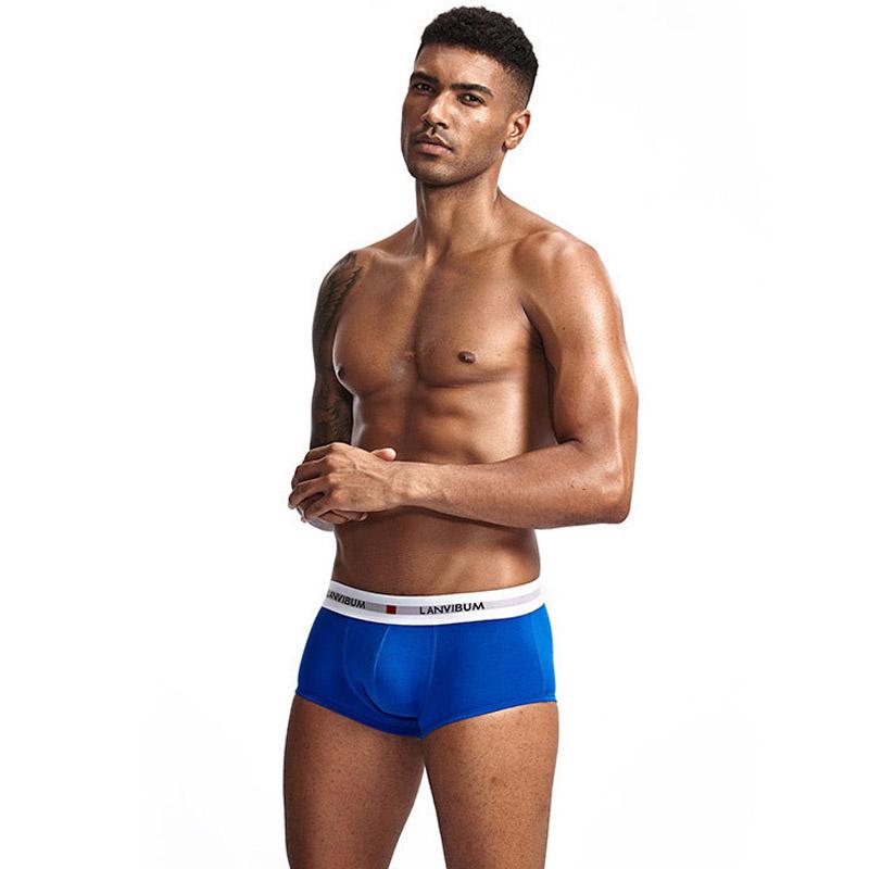 Комплект мужских трусов Lanvibum XXL 5 шт. Разноцветный (7319)