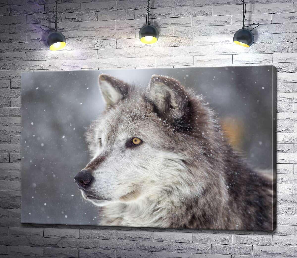 Картина ArtPoster Мохнатый серый волк увлеченный охотой 100x67 см Модуль №1 (004529) Картина ArtPoster Мохнатый серый волк увлеченный охотой 100x67 см Модуль №1 (004529)