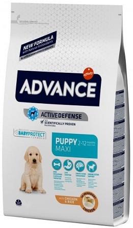 Корм сухий для цуценят великих порід Advance Dog Maxi Puppy Chicken з куркою 3 кг (513319/8410650150482)